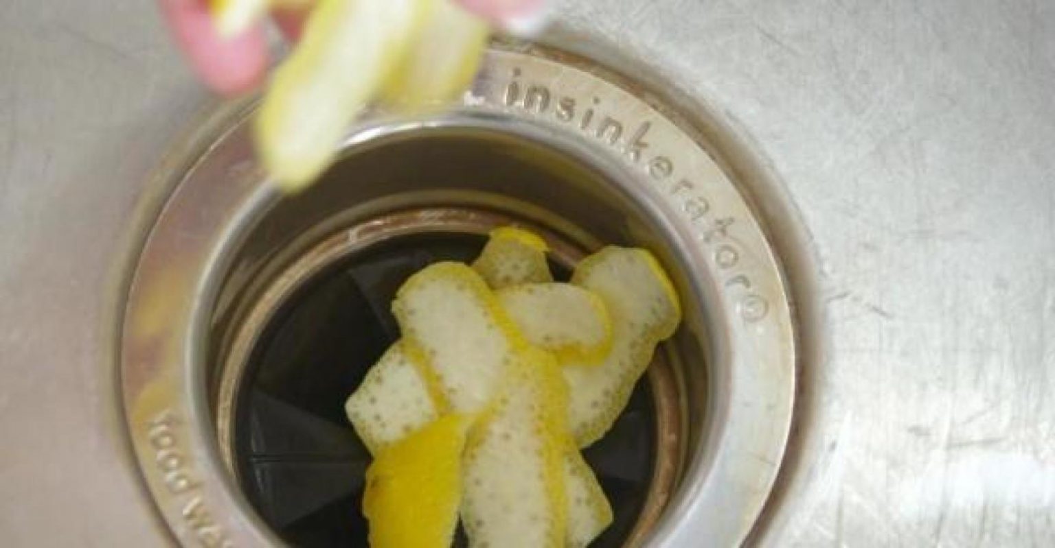 How to Clean Garbage Disposals Just A Pinch