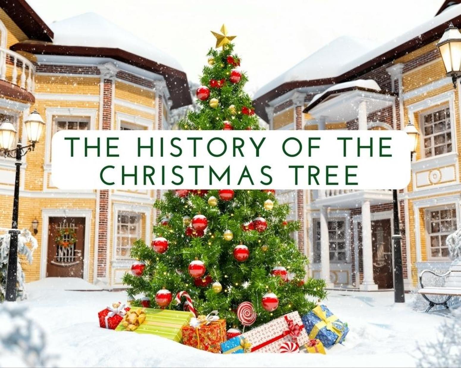 The History of the Christmas Tree - Just A Pinch
