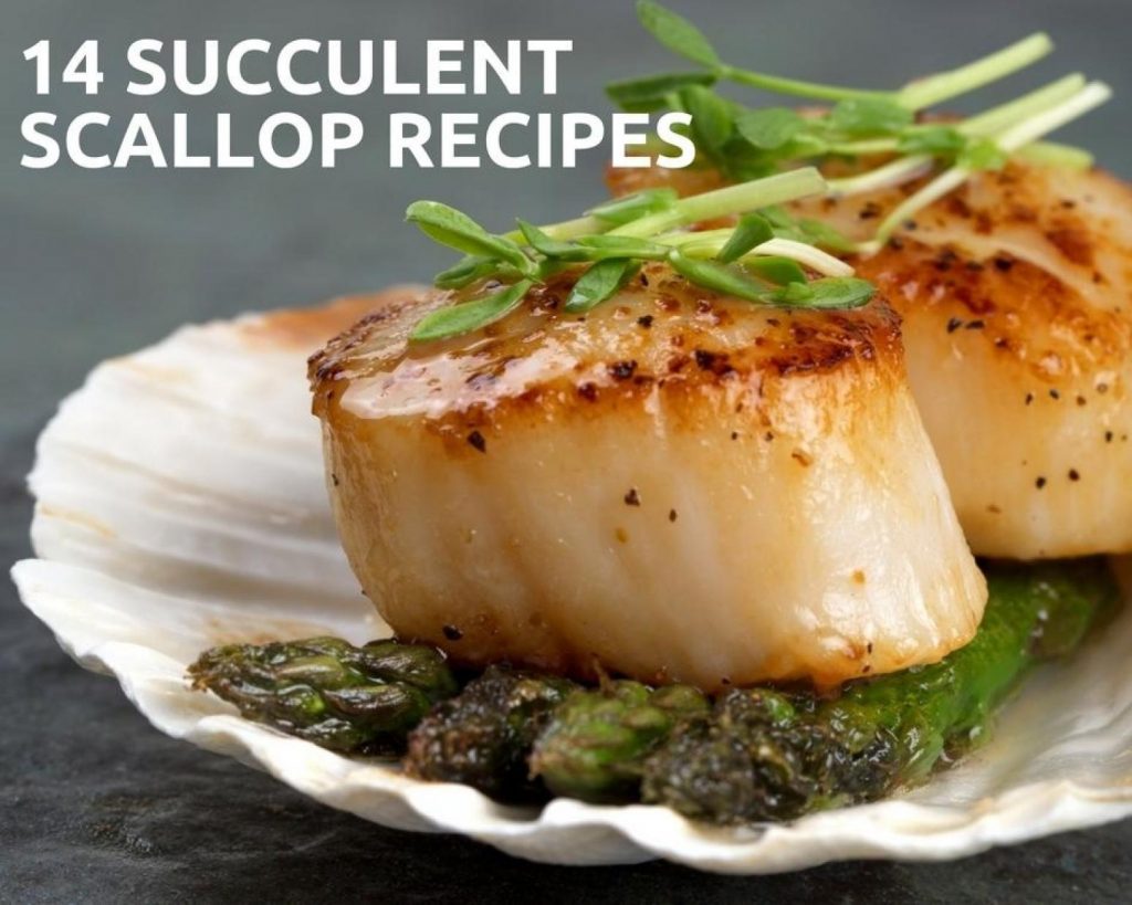 14 Succulent Scallop Recipes Just A Pinch