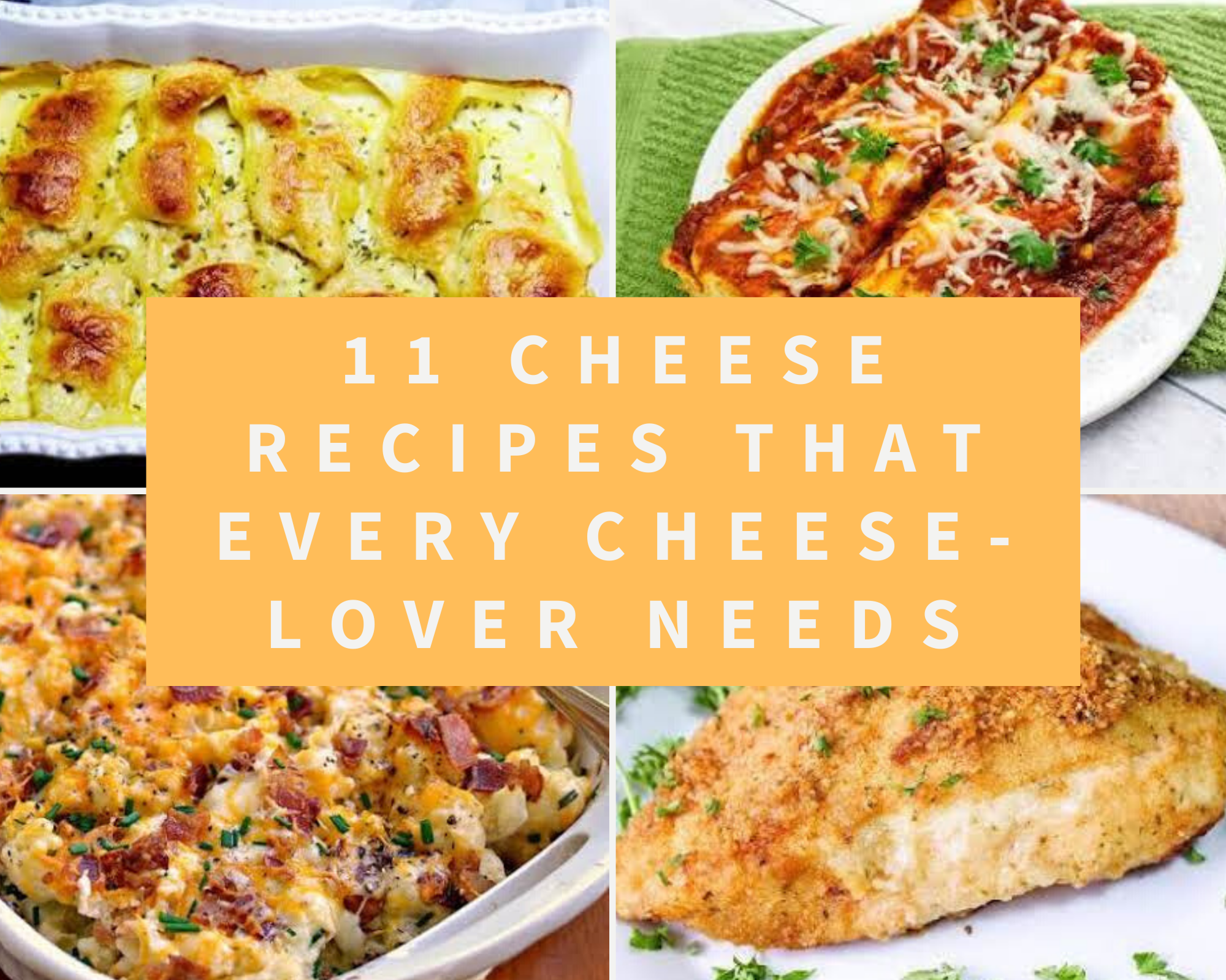 recipes with cheese