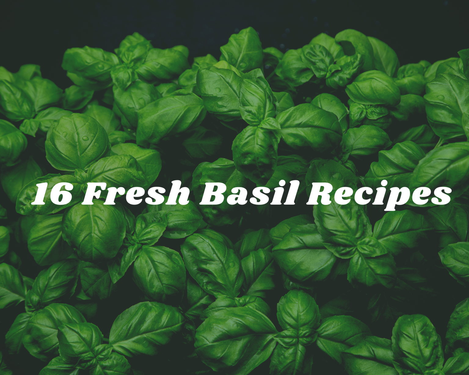 16 Fresh Basil Recipes Just A Pinch Recipes