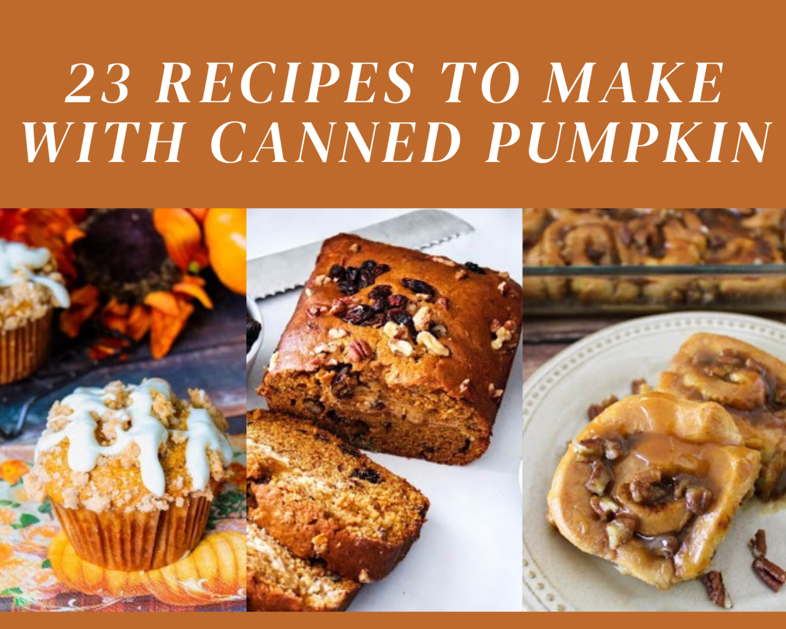 23-recipes-to-make-with-canned-pumpkin-just-a-pinch