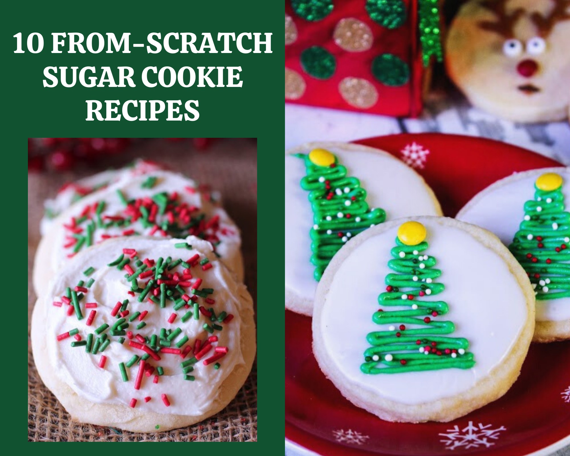 rom-Scratch Sugar Cookie Recipes