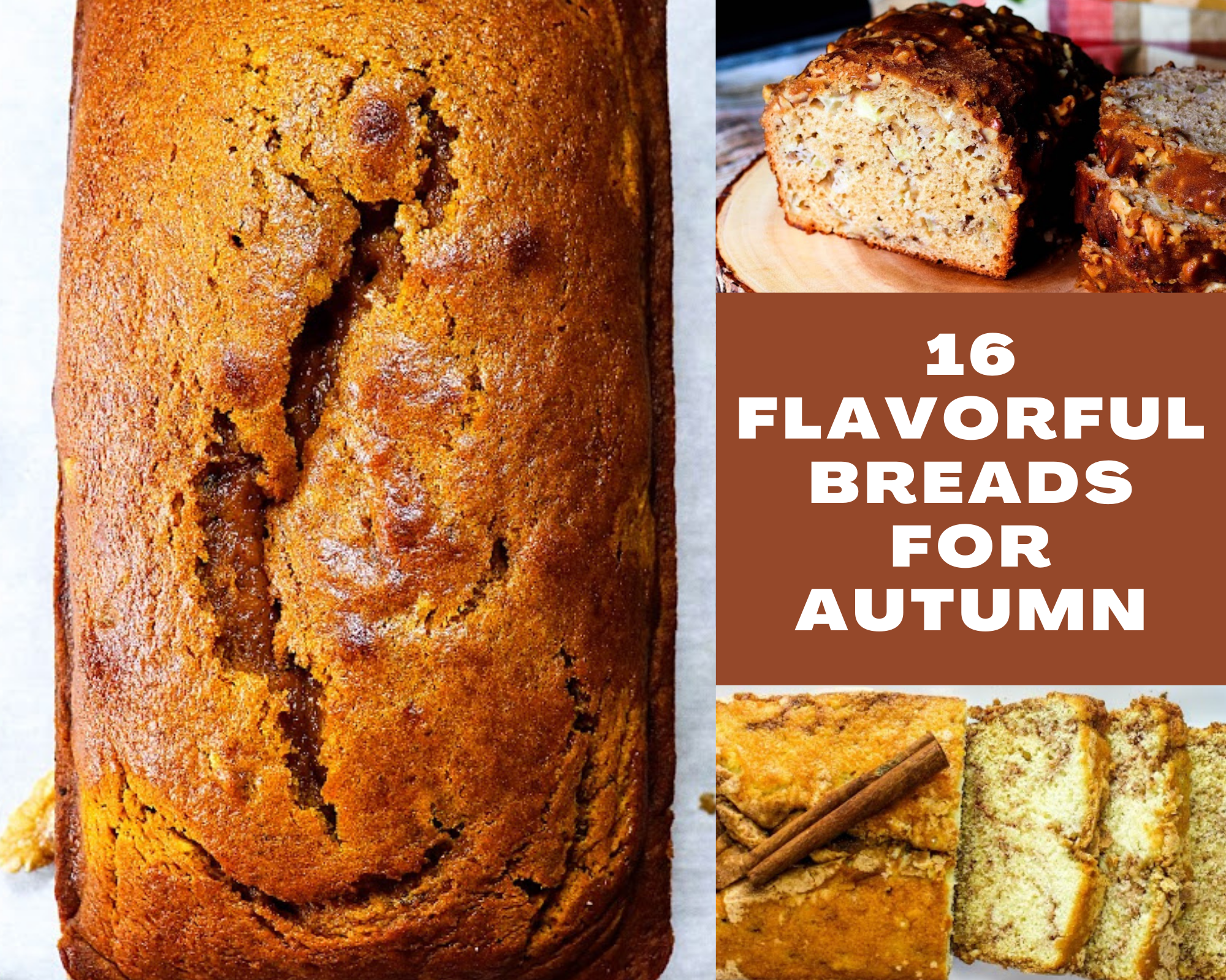 16 flavorful breads for Autumn