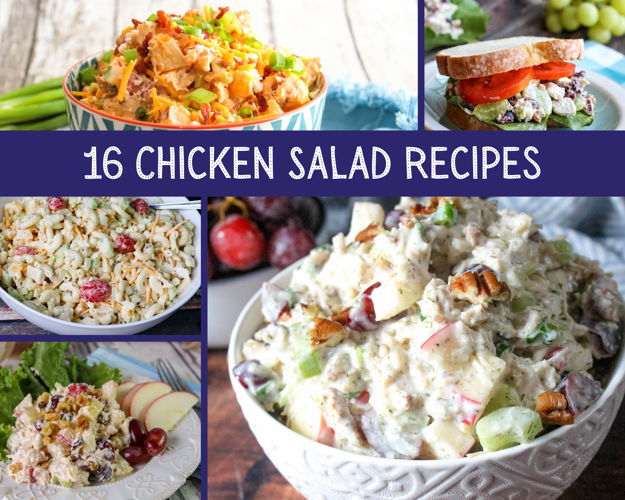 chicken salad recipes