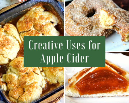 creative uses for apple cider