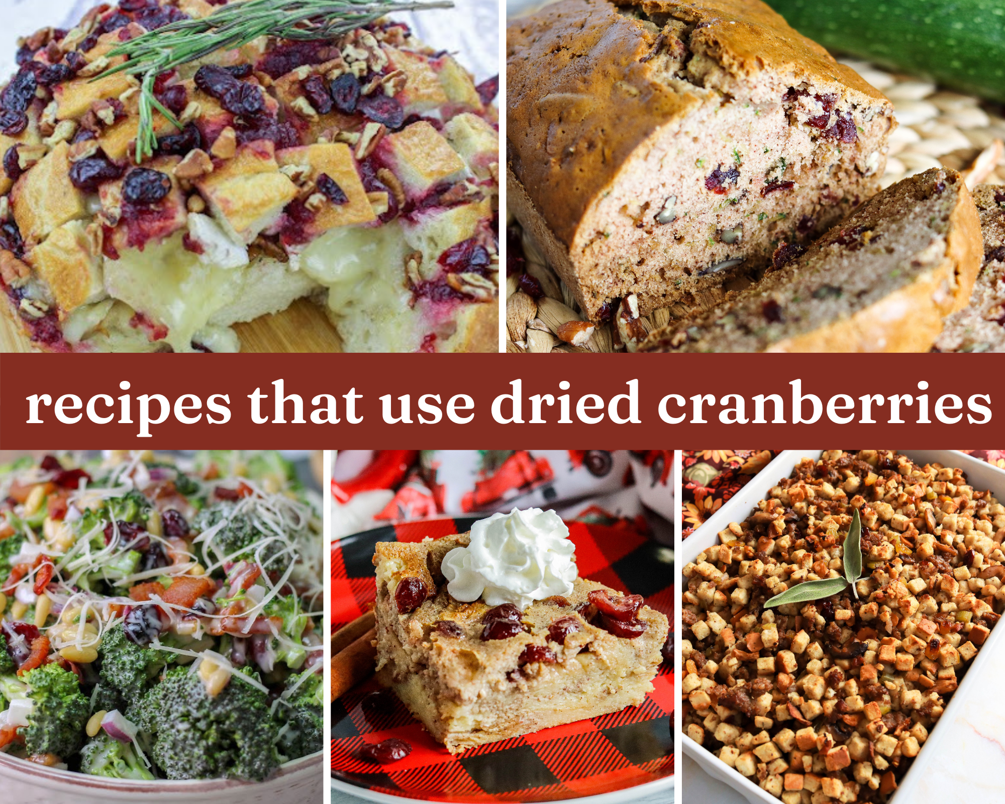 recipes that use dried cranberries