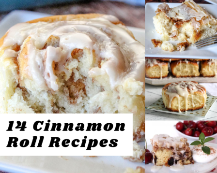 14 Cinnamon Roll Recipes