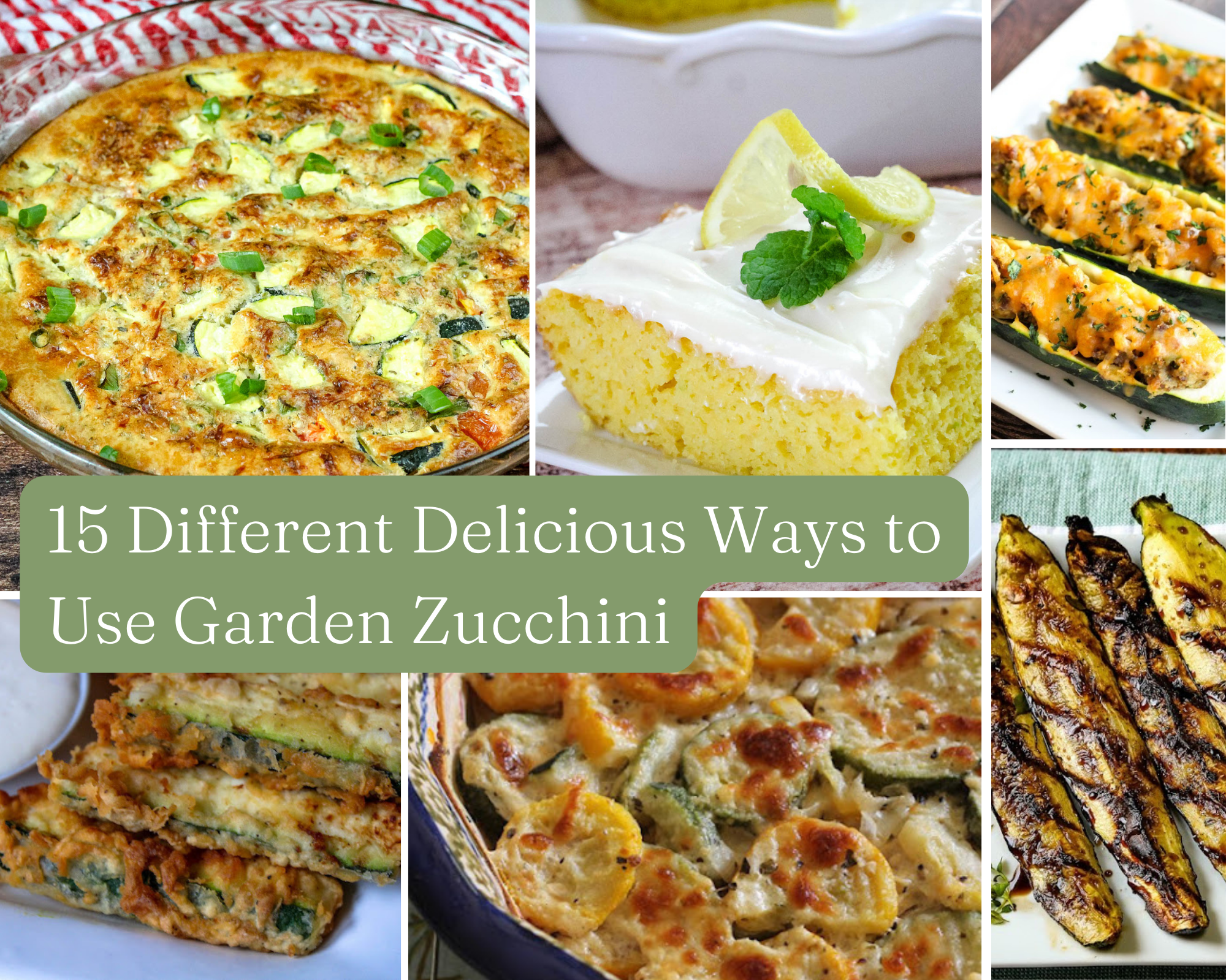 15 Different Delicious Ways to Use Garden Zucchini