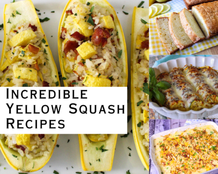 Incredible Yellow Squash Recipes