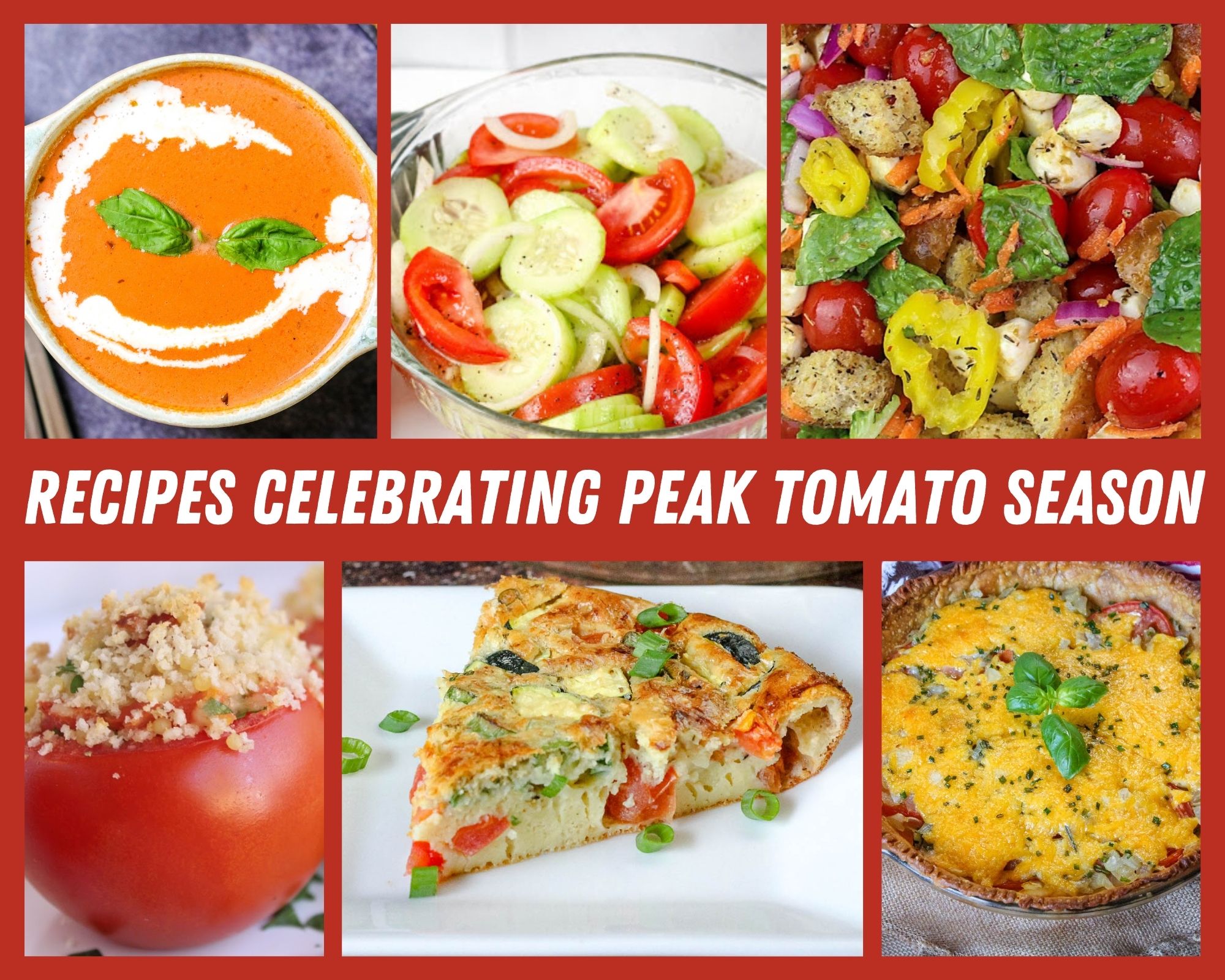 Recipes Celebrating Peak Tomato Season