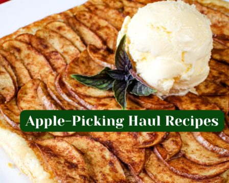 Apple-Picking Haul Recipes