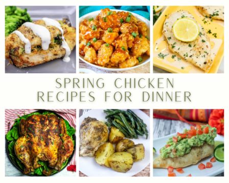 Spring Chicken Recipes for Dinner