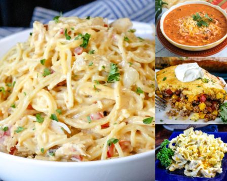 recipes using canned ingredients